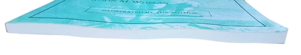 Making Traditional Wooden Planes Paperback John M. Whelan 1996